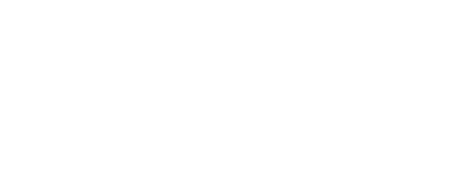 نت مسترز 